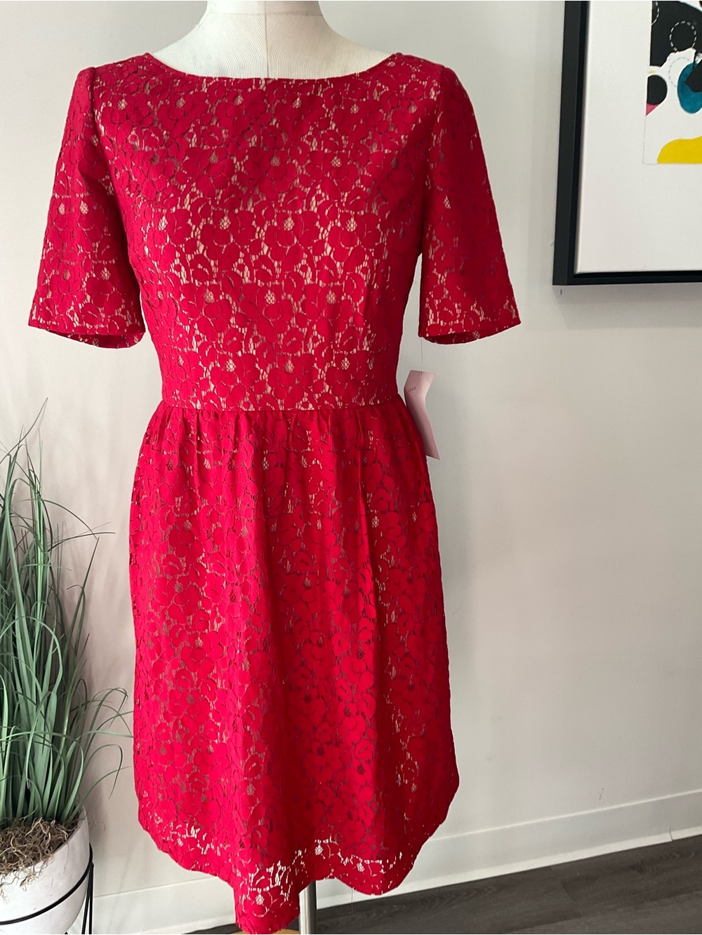 Adriana Papell Red Lace Short Sleeve Dress Size 14 (NWT)
